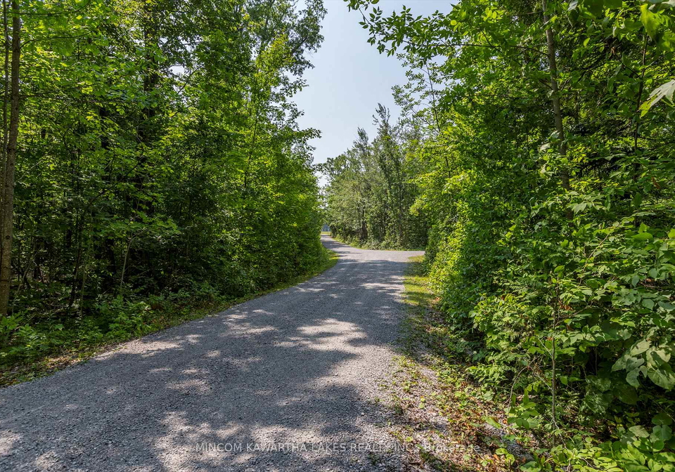 947-lakehurst-road-trent-lakes-ontario-x12292643