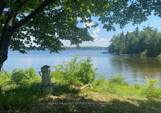 10-vern-court-kawartha-lakes-ontario-x12293495
