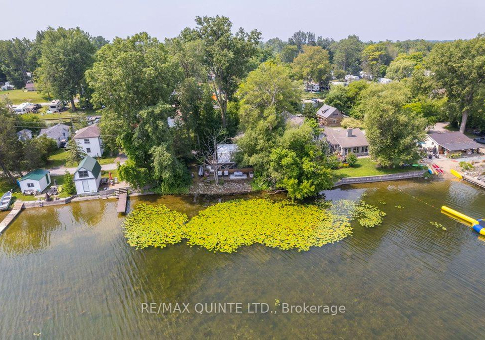 142-outlet-road-prince-edward-county-ontario-x12297643