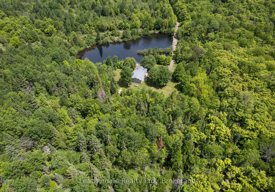 142-hillside-road-hastings-highlands-ontario-x12298676