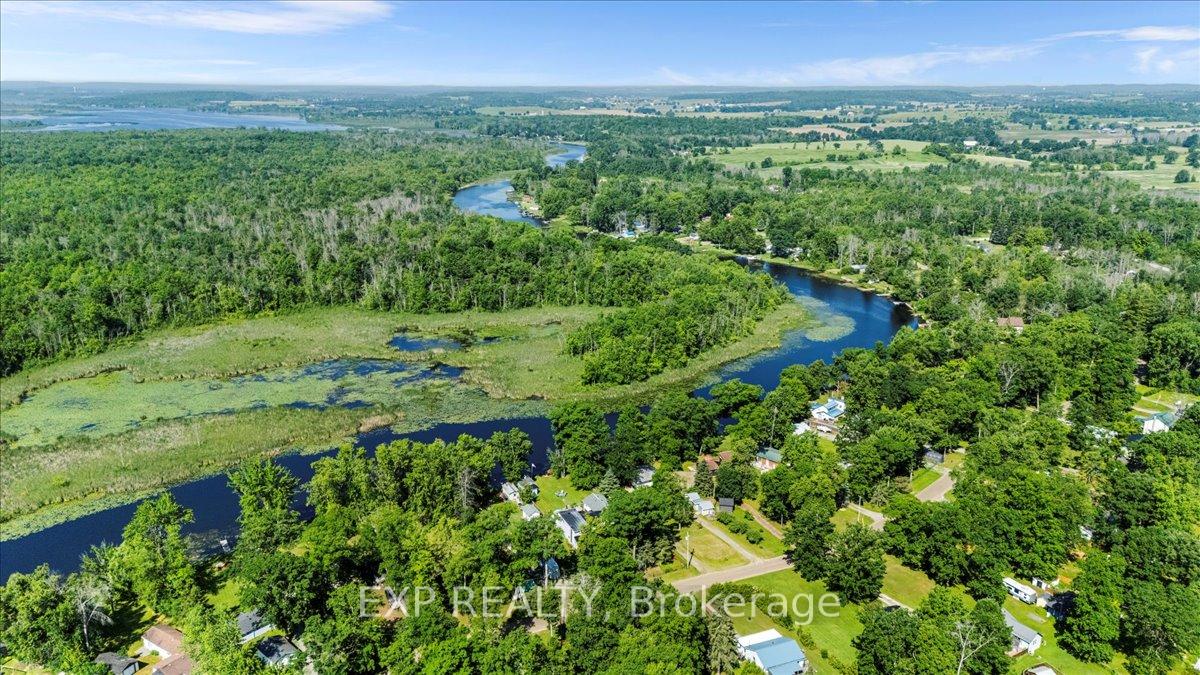 233-river-road-e-e-trent-hills-ontario-x12299099