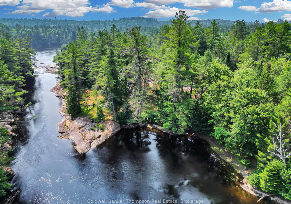 1111-alpine-ranch-pvt-road-bracebridge-ontario-x12299200