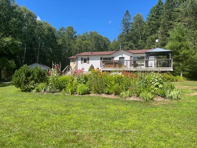 1293-green-lake-road-dysart-et-al-ontario-x12302235