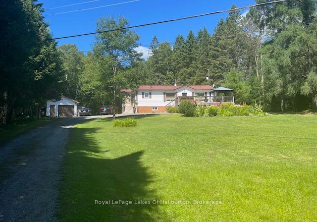 1293-green-lake-road-dysart-et-al-ontario-x12302235