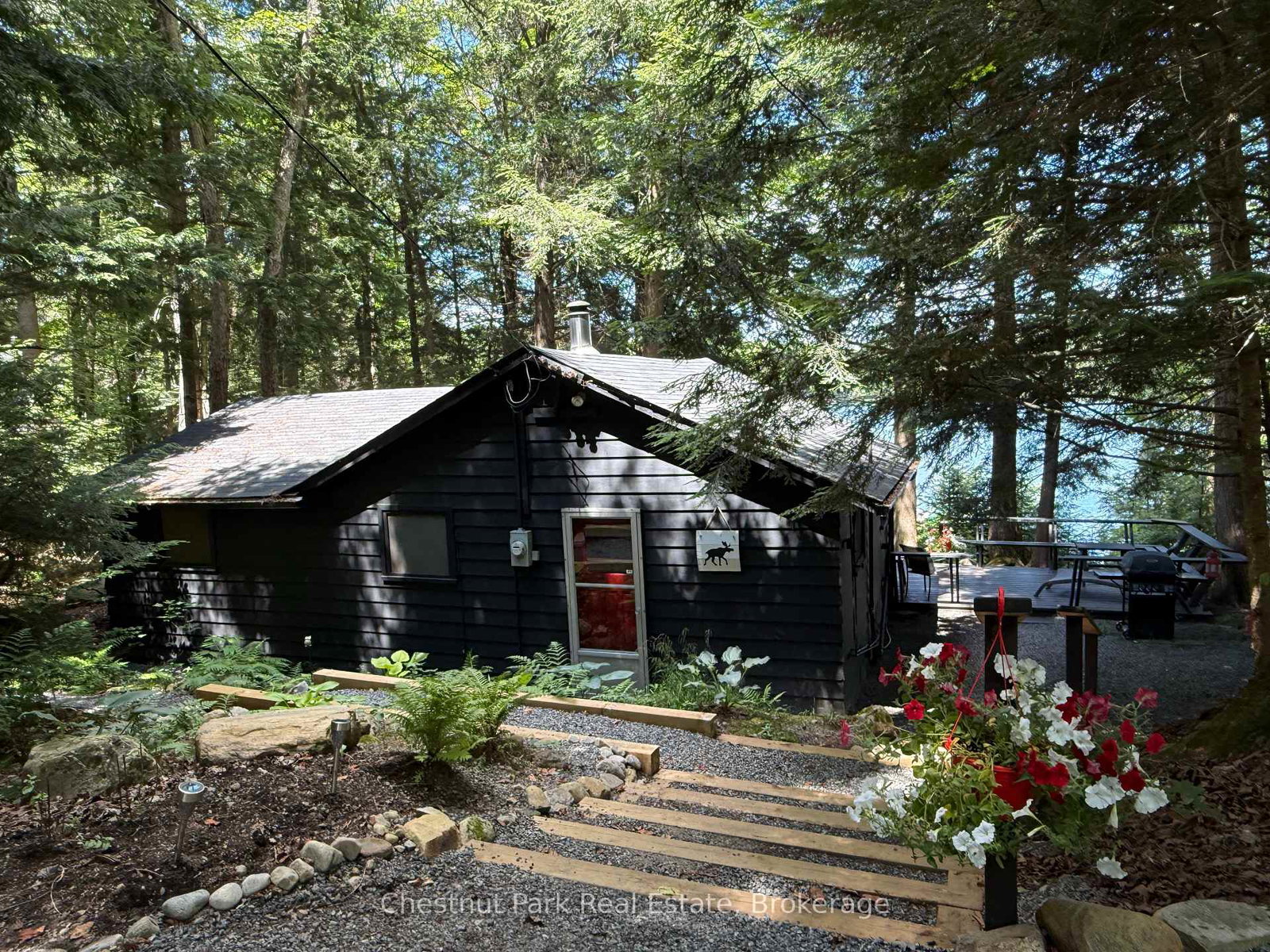 1146-shoe-lake-road-lake-of-bays-ontario-x12304364