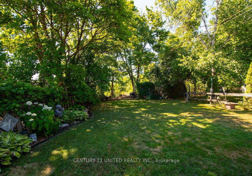 60-albert-street-e-e-trent-hills-ontario-x12304846