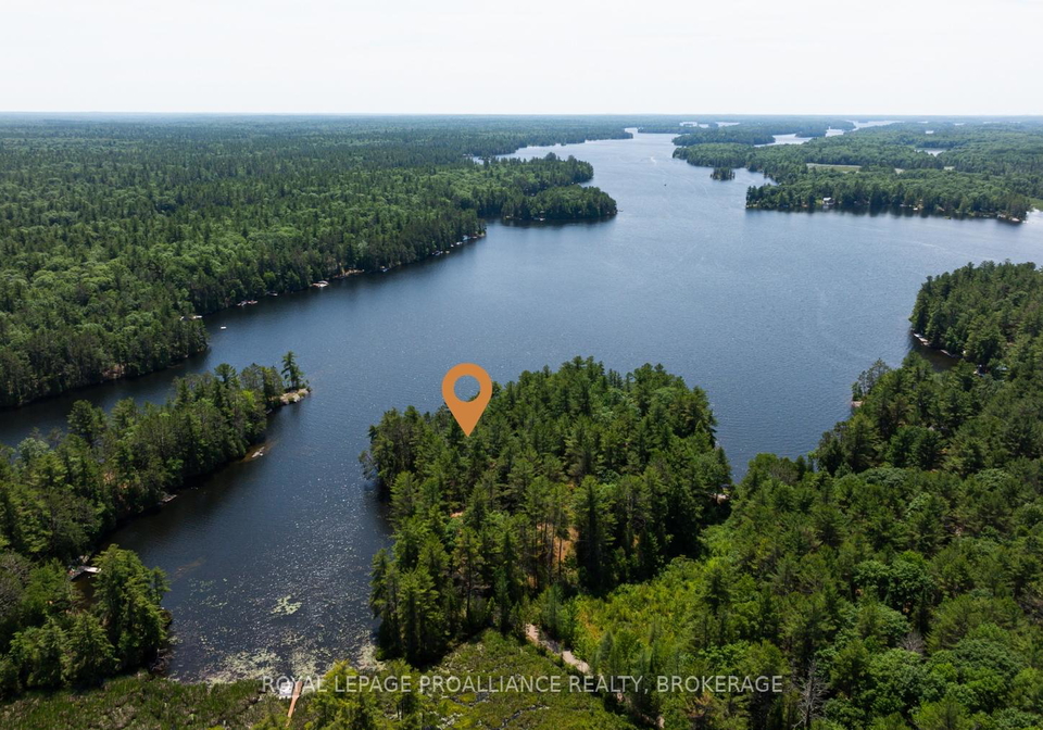 3971-ardoch-road-frontenac-ontario-x12305597