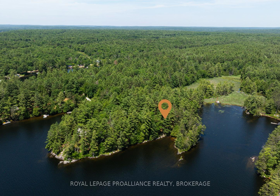 3971-ardoch-road-frontenac-ontario-x12305597
