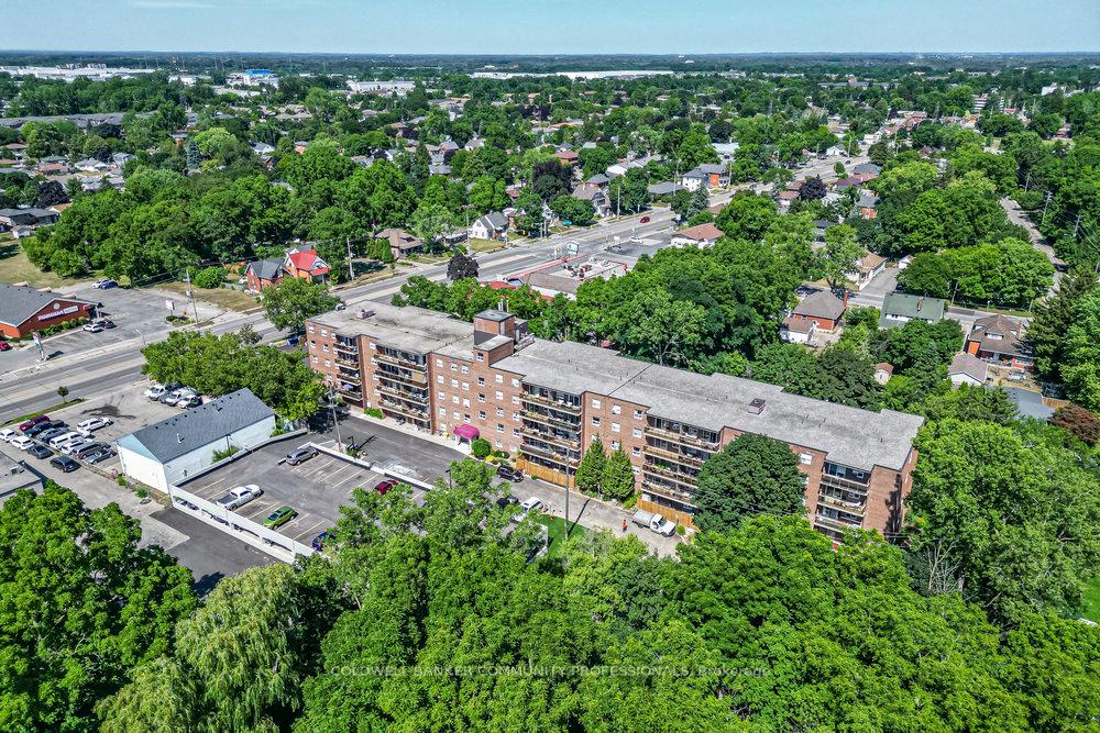 793-colborne-street-brant-ontario-x12305812