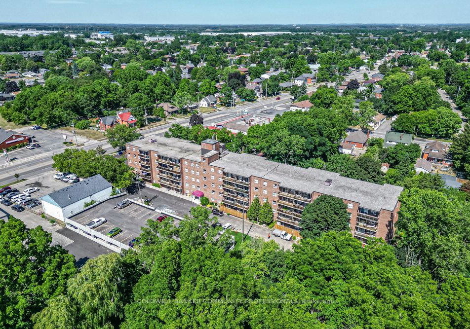793-colborne-street-brant-ontario-x12305812