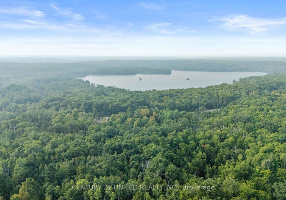 2039-county-road-620-na-north-kawartha-ontario-x12307753
