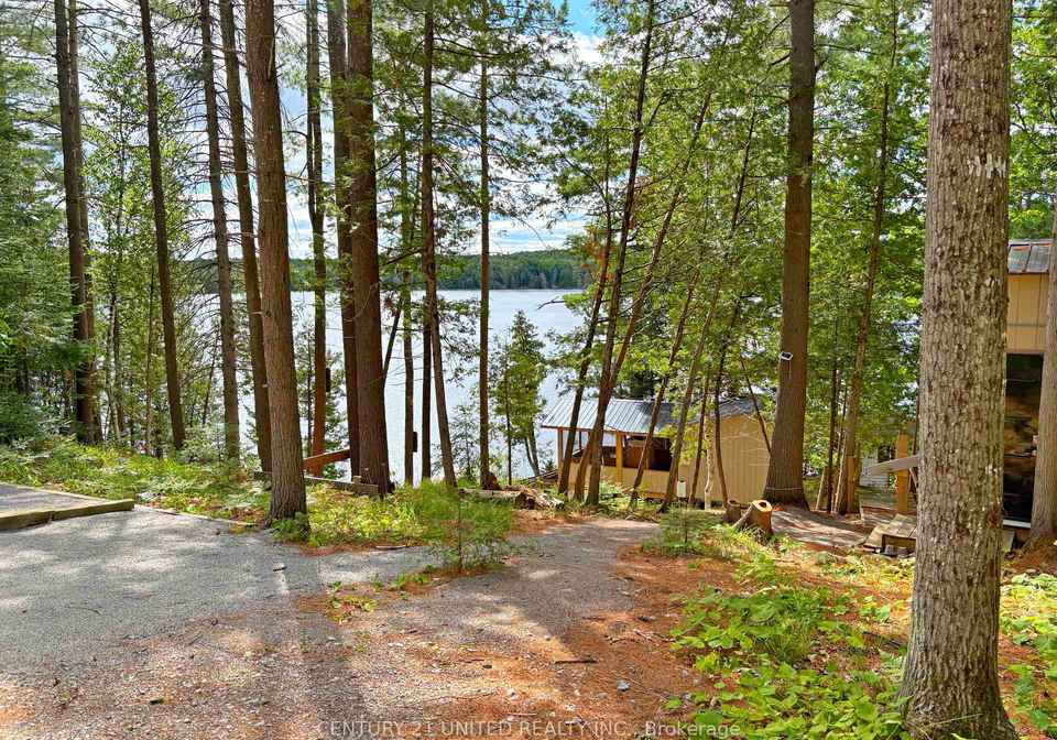 22-fire-route-311-na-trent-lakes-ontario-x12311424