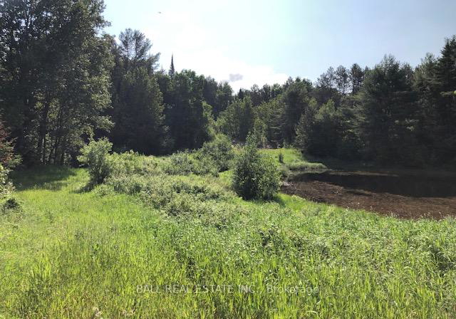 35956-highway-62-na-hastings-highlands-ontario-x12311588
