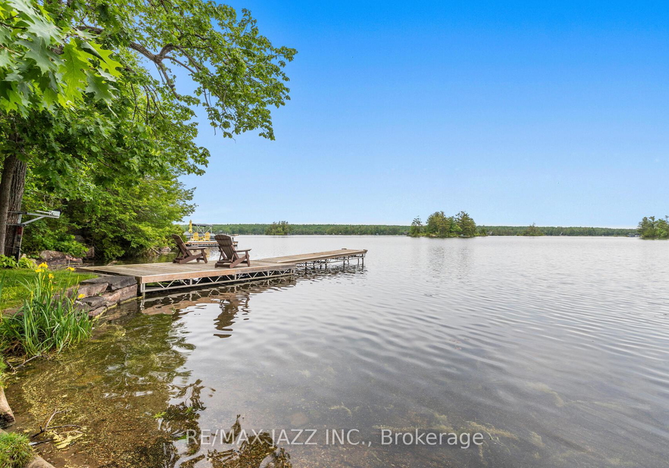 341-elbow-point-road-trent-lakes-ontario-x12314056