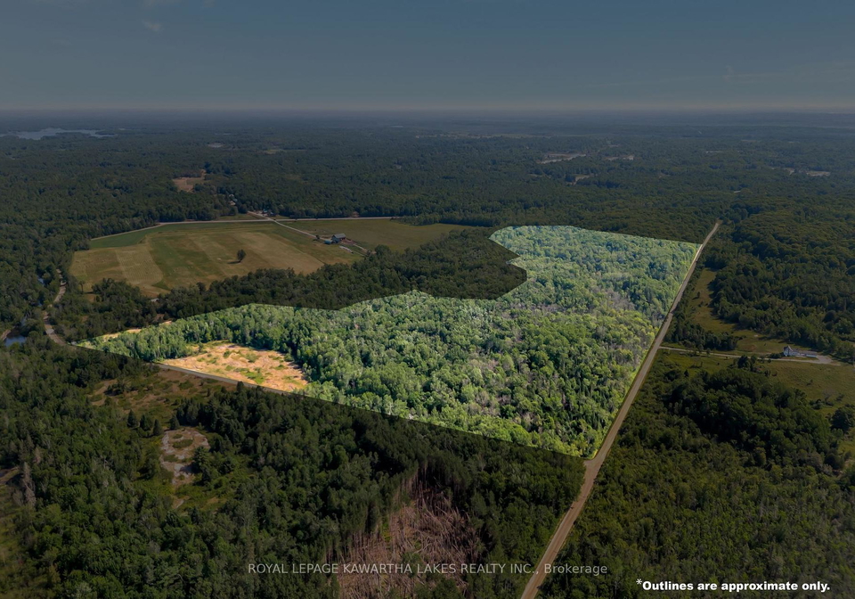 48-mackenzie-road-kawartha-lakes-ontario-x12315450