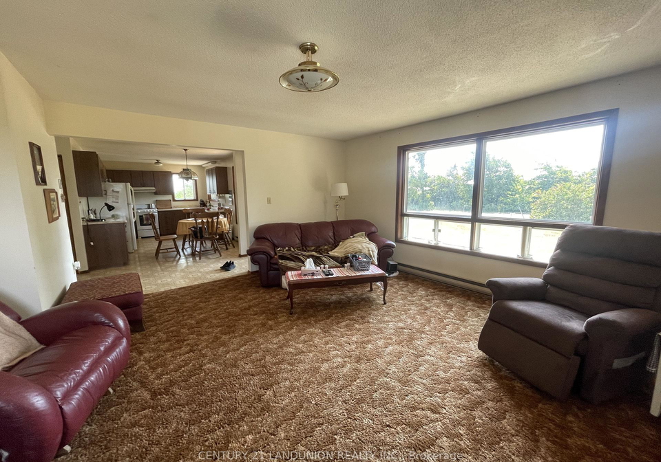 1319-palestine-road-e-e-kawartha-lakes-ontario-x12315842