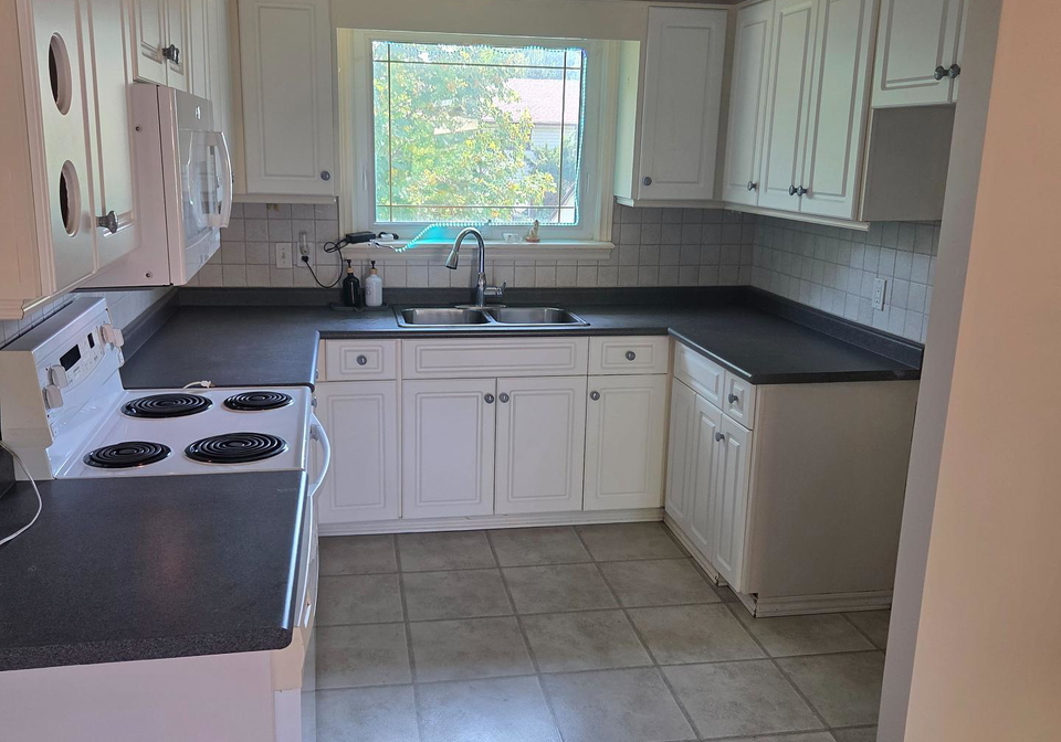 1093-cree-avenue-woodstock-ontario-x12317820