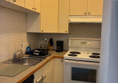 15-buffalo-street-brantford-ontario-x12319186