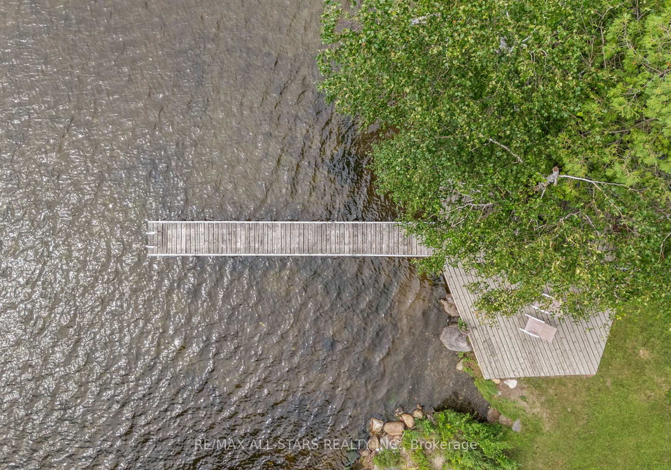 41-fells-bay-road-kawartha-lakes-ontario-x12323778