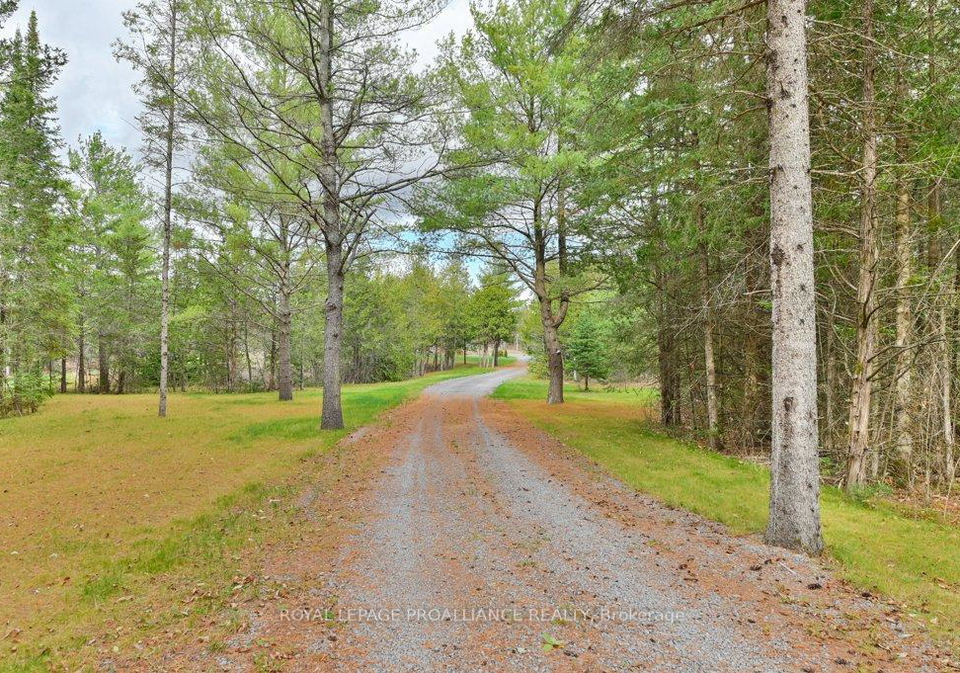 1889-melrose-road-tyendinaga-ontario-x12327110