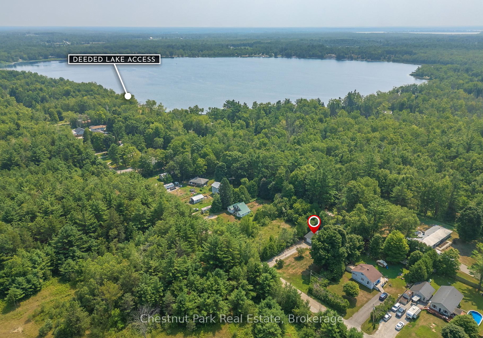 10-mcleish-drive-kawartha-lakes-ontario-x12328903