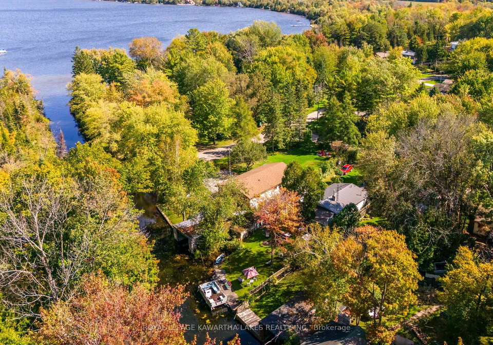 31-jubbs-shore-road-kawartha-lakes-ontario-x12329256
