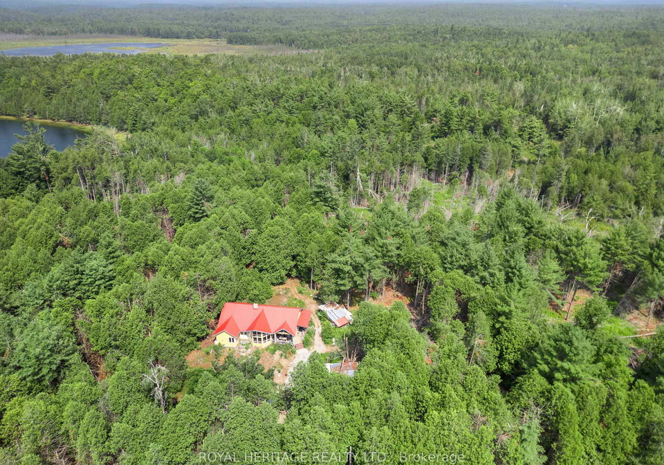 201-dutch-line-road-trent-lakes-ontario-x12332711