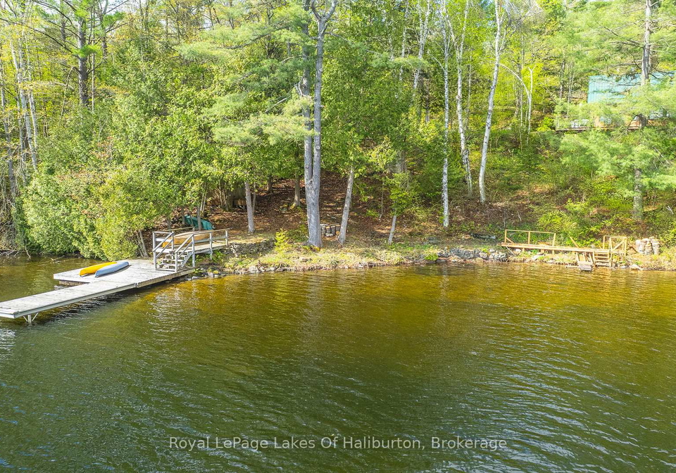 1029-cam-walt-trail-minden-hills-ontario-x12333094