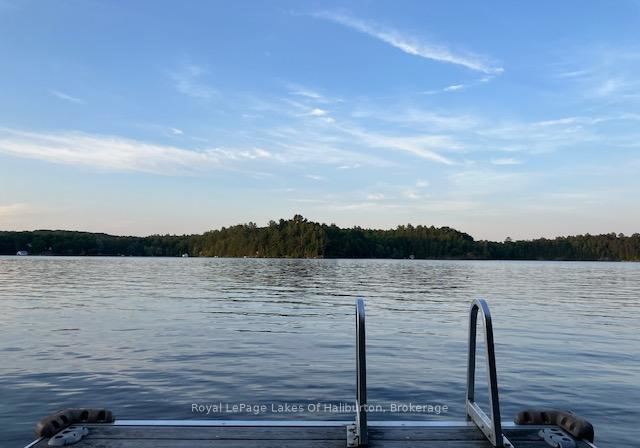 1029-cam-walt-trail-minden-hills-ontario-x12333094