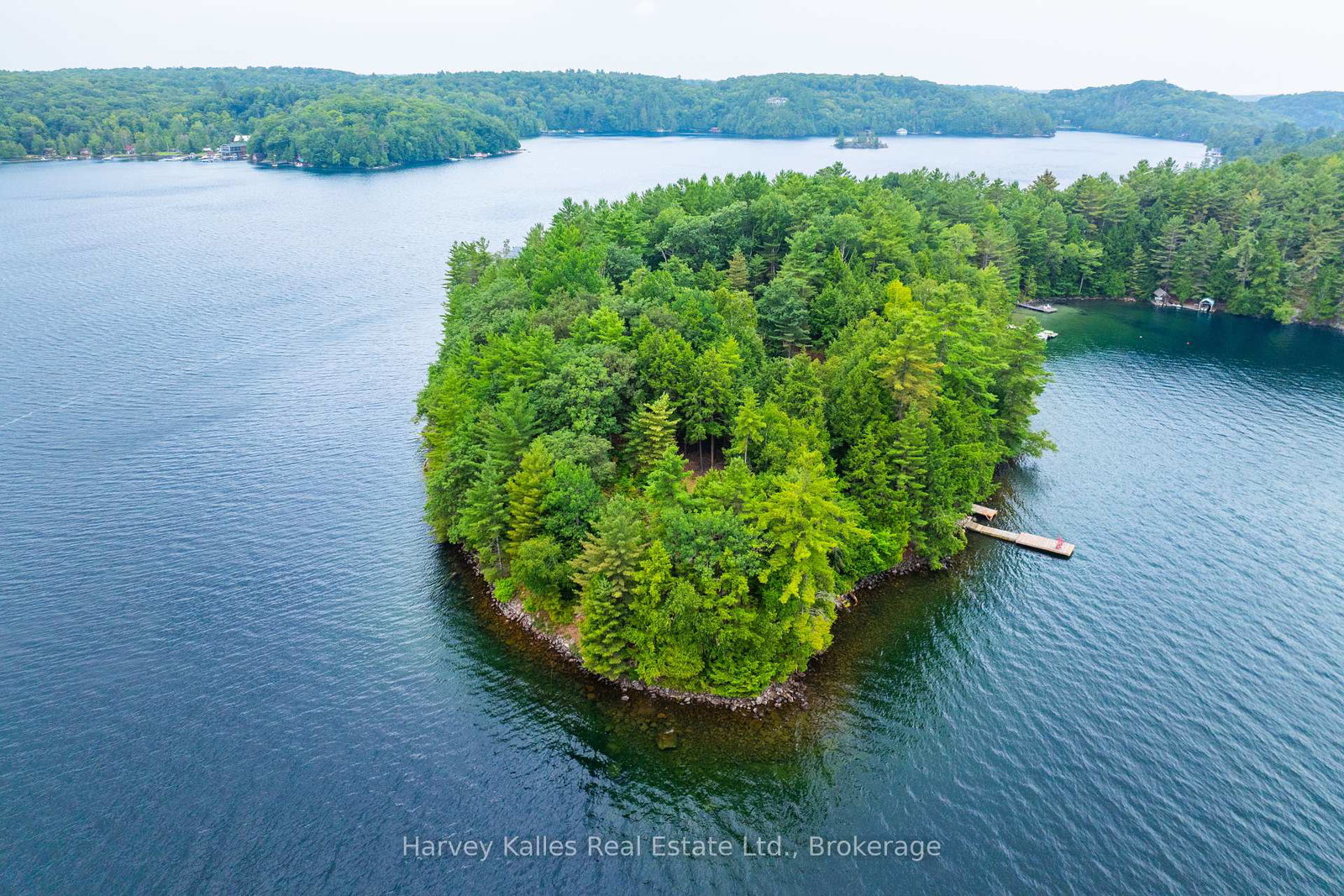 25-clifton-island-muskoka-lakes-ontario-x12334593