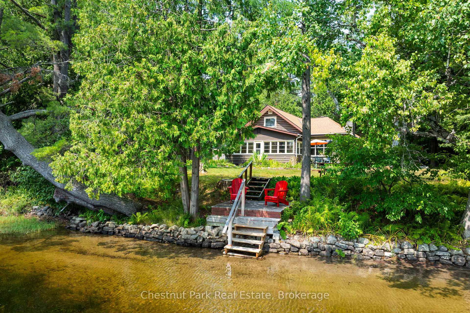 66-brofoco-drive-bracebridge-ontario-x12335751