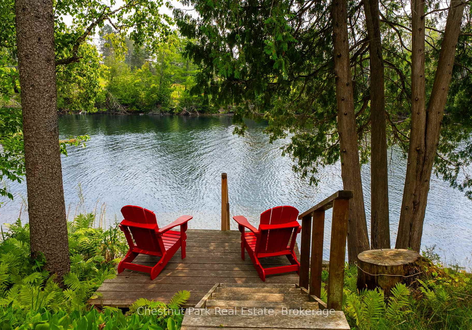66-brofoco-drive-bracebridge-ontario-x12335751