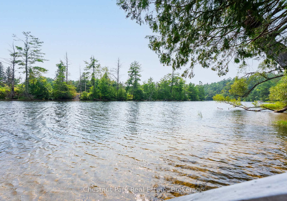 66-brofoco-drive-bracebridge-ontario-x12335751