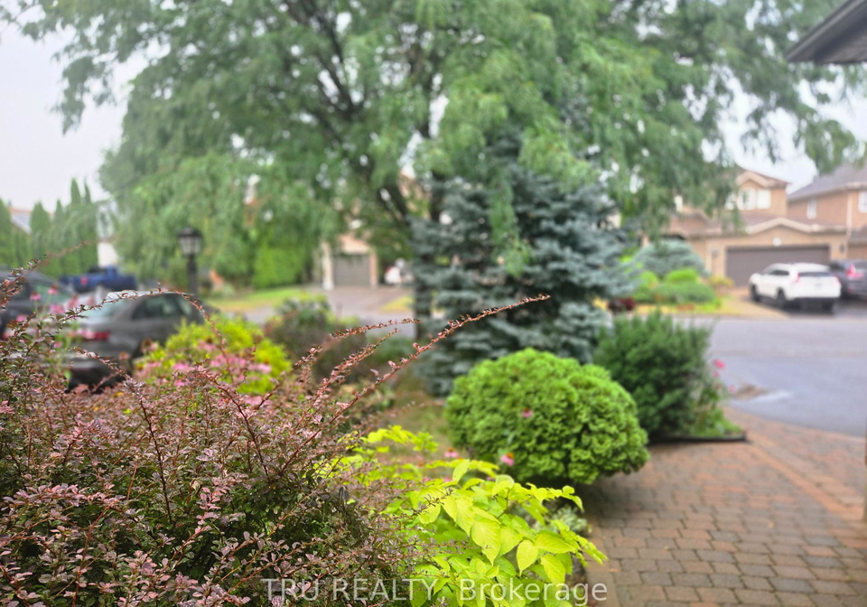 18-gannet-street-w-ottawa-ontario-x12335847
