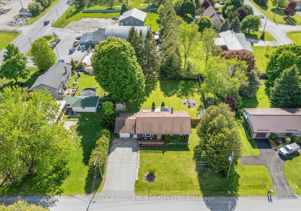 2814-cornish-hollow-road-hamilton-township-ontario-x12336666