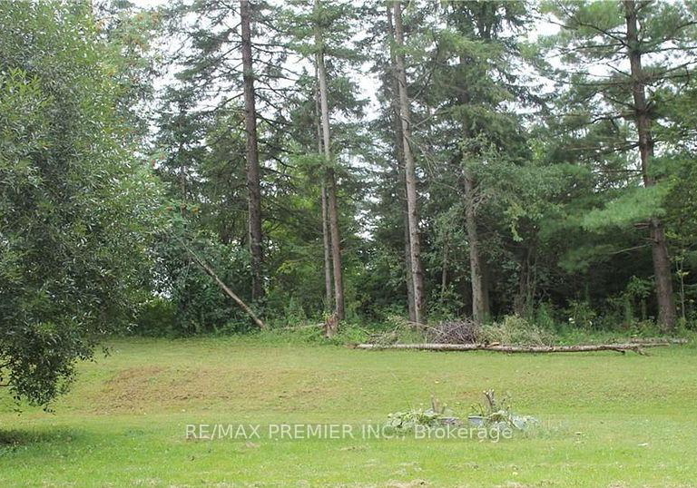 187-colborne-street-kawartha-lakes-ontario-x12336751
