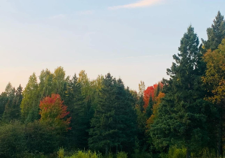 526-star-lake-road-perry-ontario-x12337649
