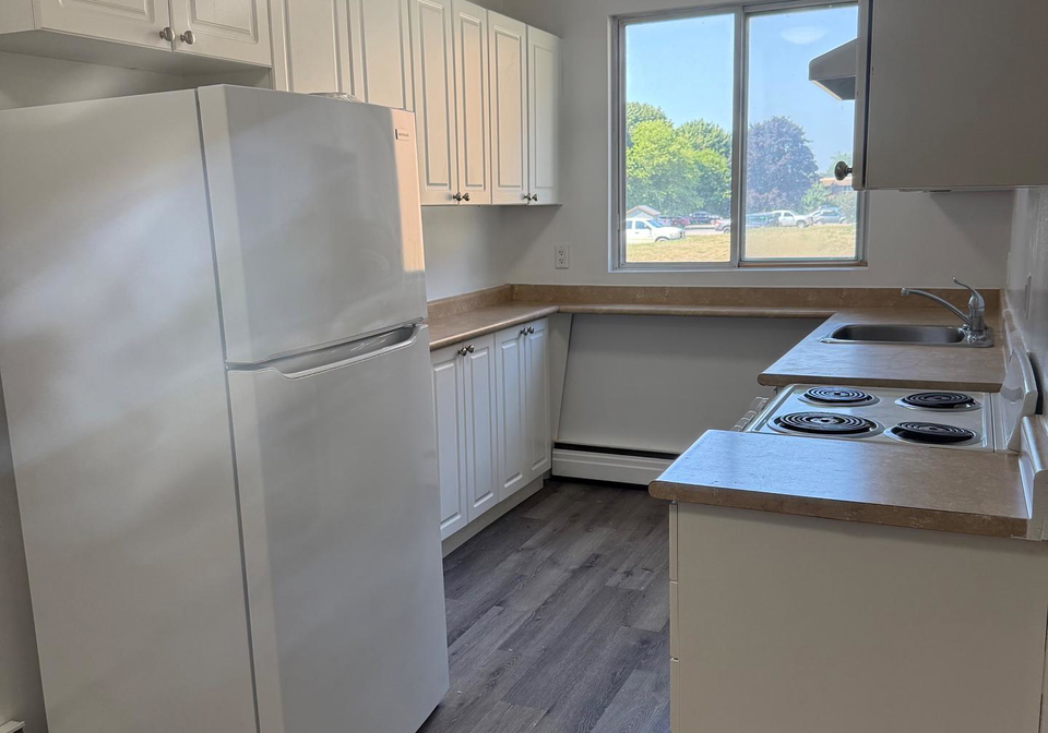 191-lisgar-avenue-tillsonburg-ontario-x12339660