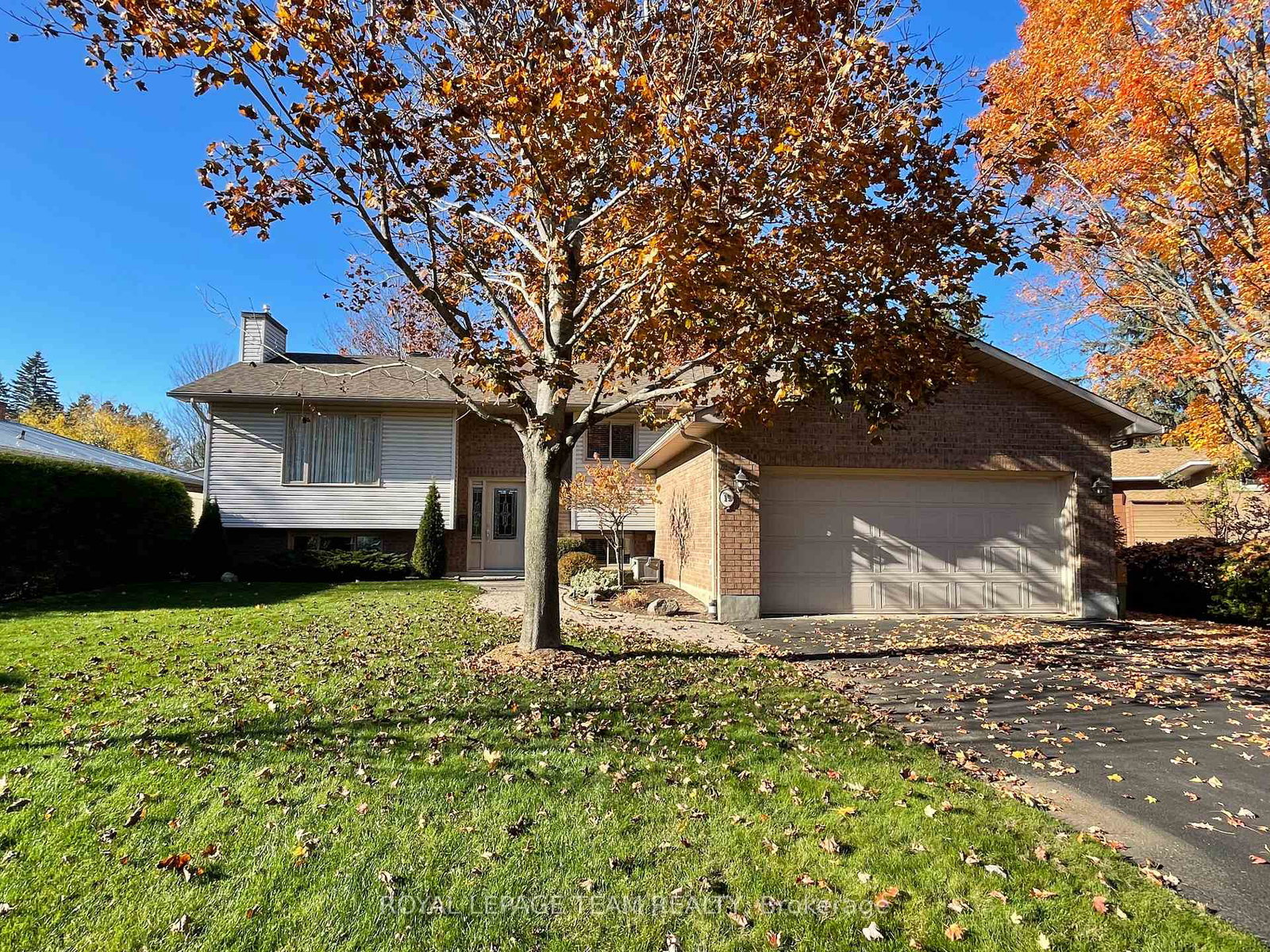 19-beverly-street-ottawa-ontario-x12340453