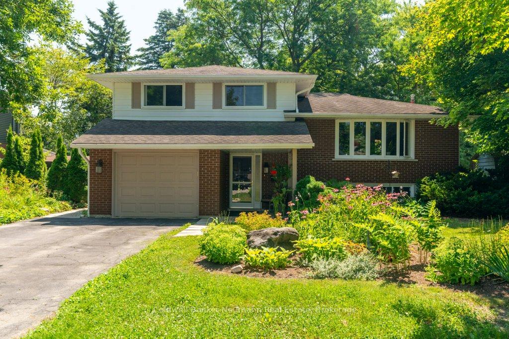 38-hickory-street-guelph-ontario-x12340463