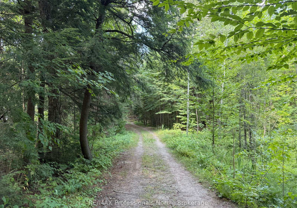2169-fred-jones-road-dysart-et-al-ontario-x12345566