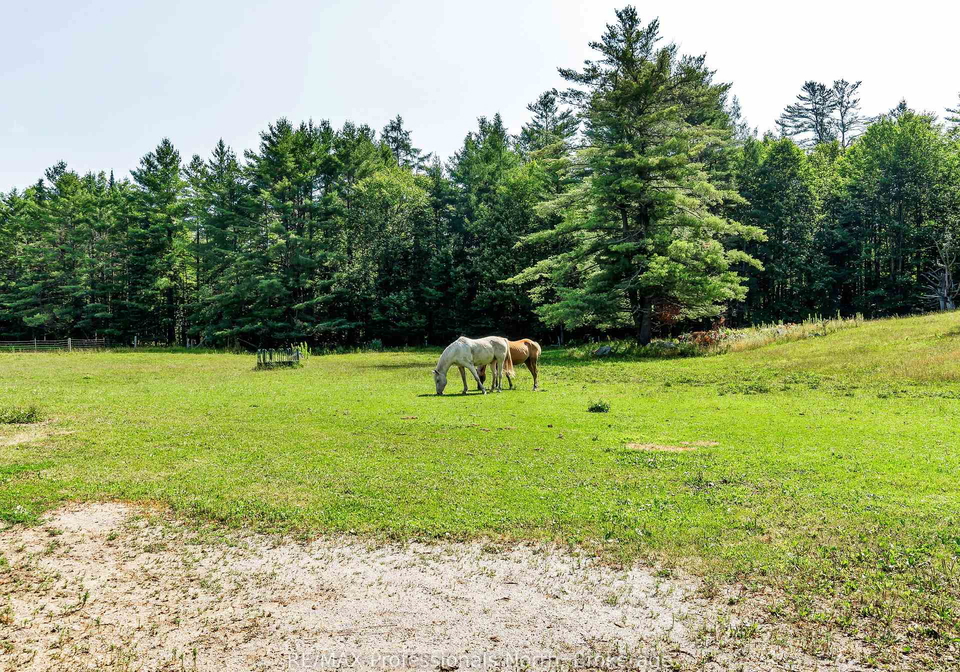 1069-kirk-line-e-bracebridge-ontario-x12347381