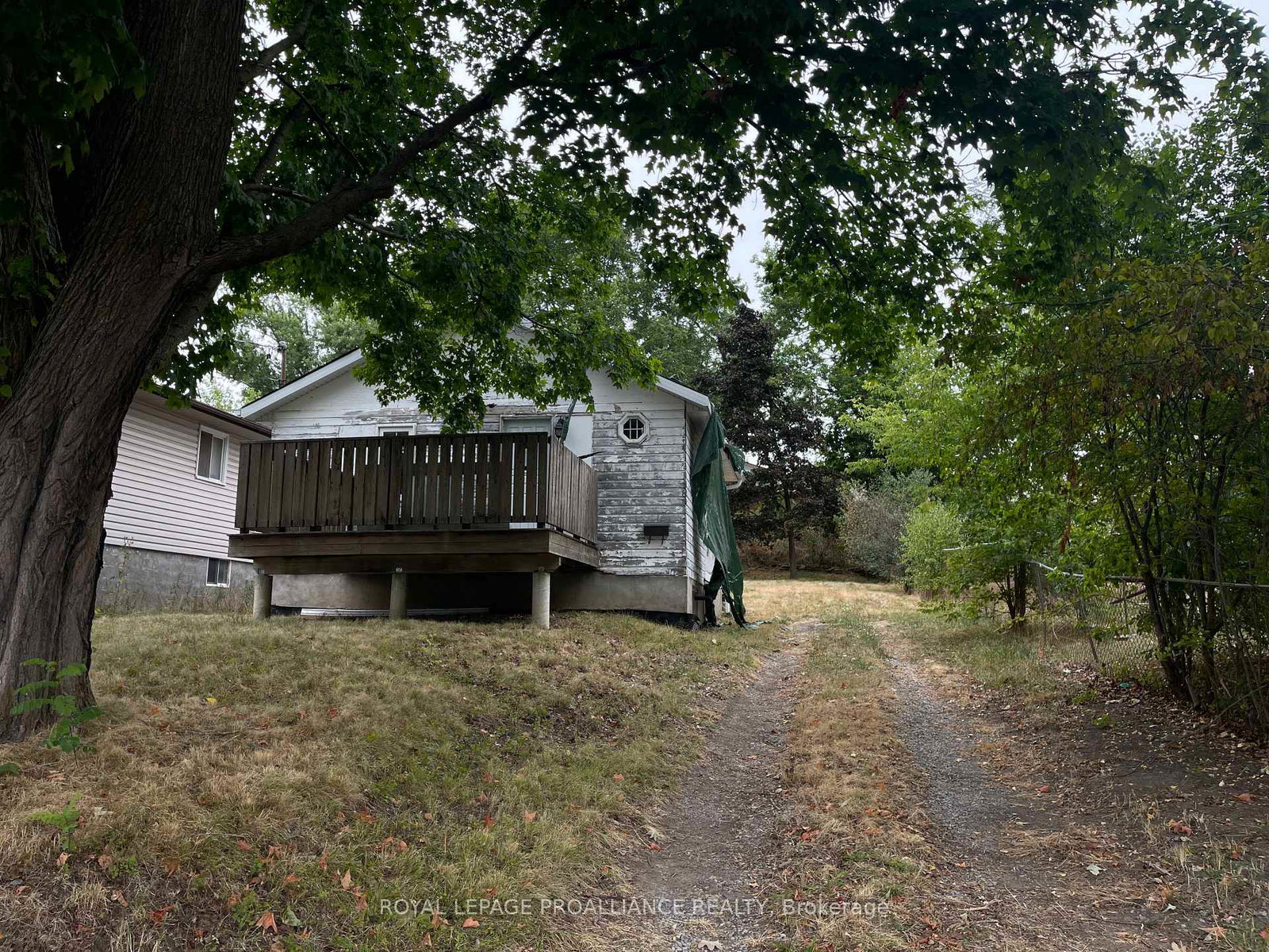440-bellevue-street-peterborough-north-ontario-x12347657