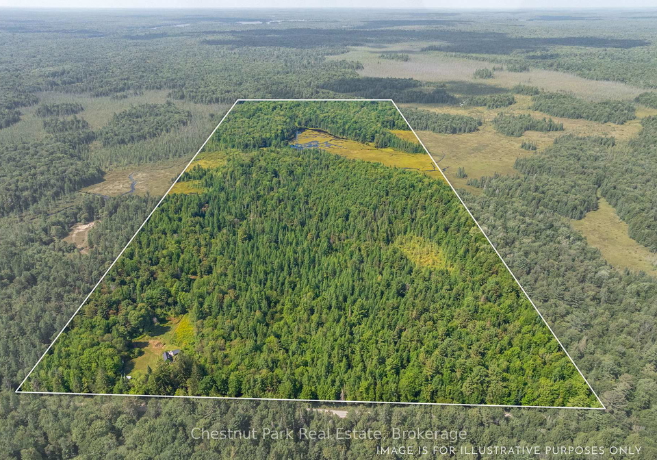 2784-axe-lake-road-mcmurrichmonteith-ontario-x12347795
