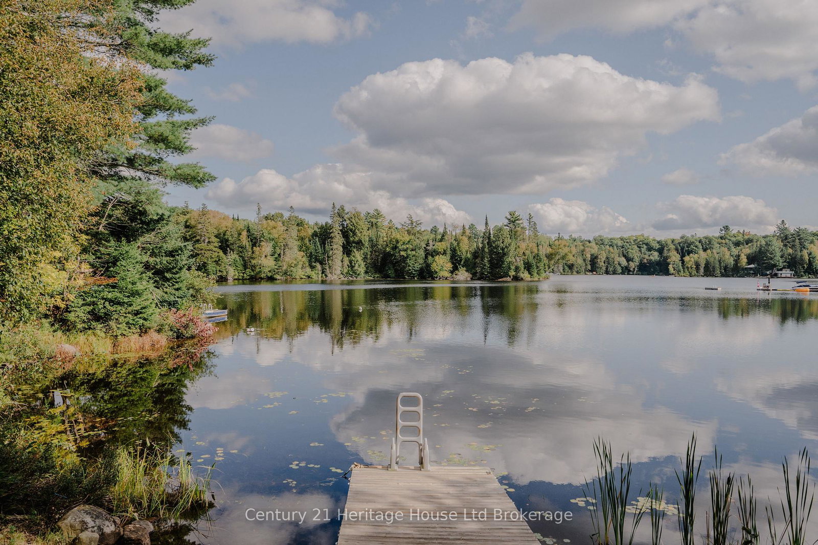 95-gray-jay-lane-kearney-ontario-x12347852