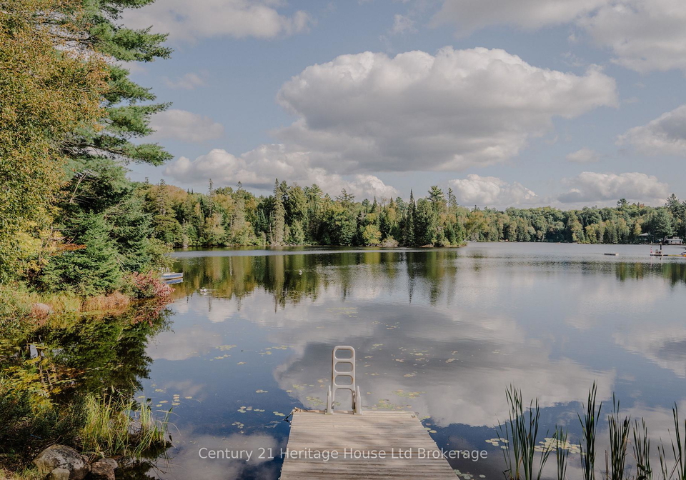 95-gray-jay-lane-kearney-ontario-x12347852