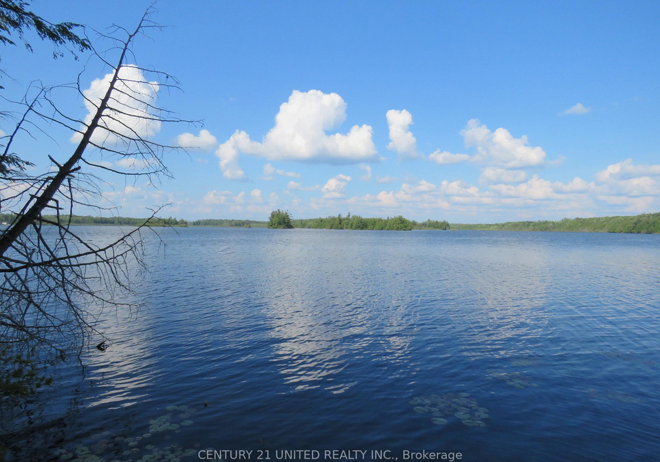 162-talbot-road-kawartha-lakes-ontario-x12348515