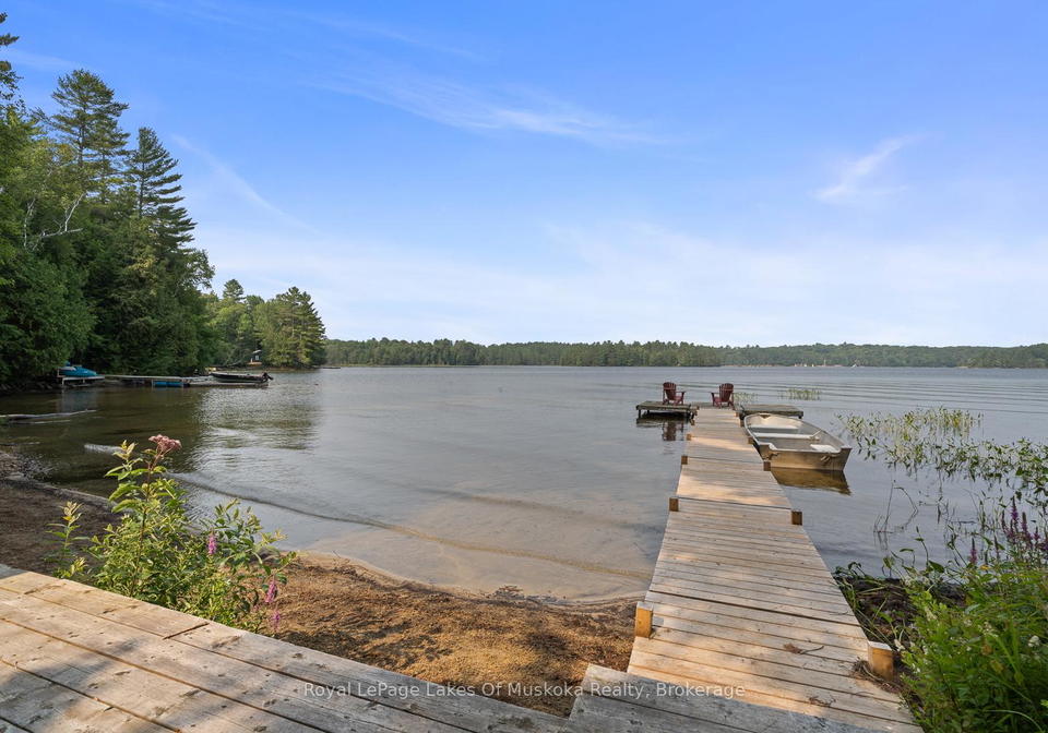 1484-shangrila-road-algonquin-highlands-ontario-x12349543