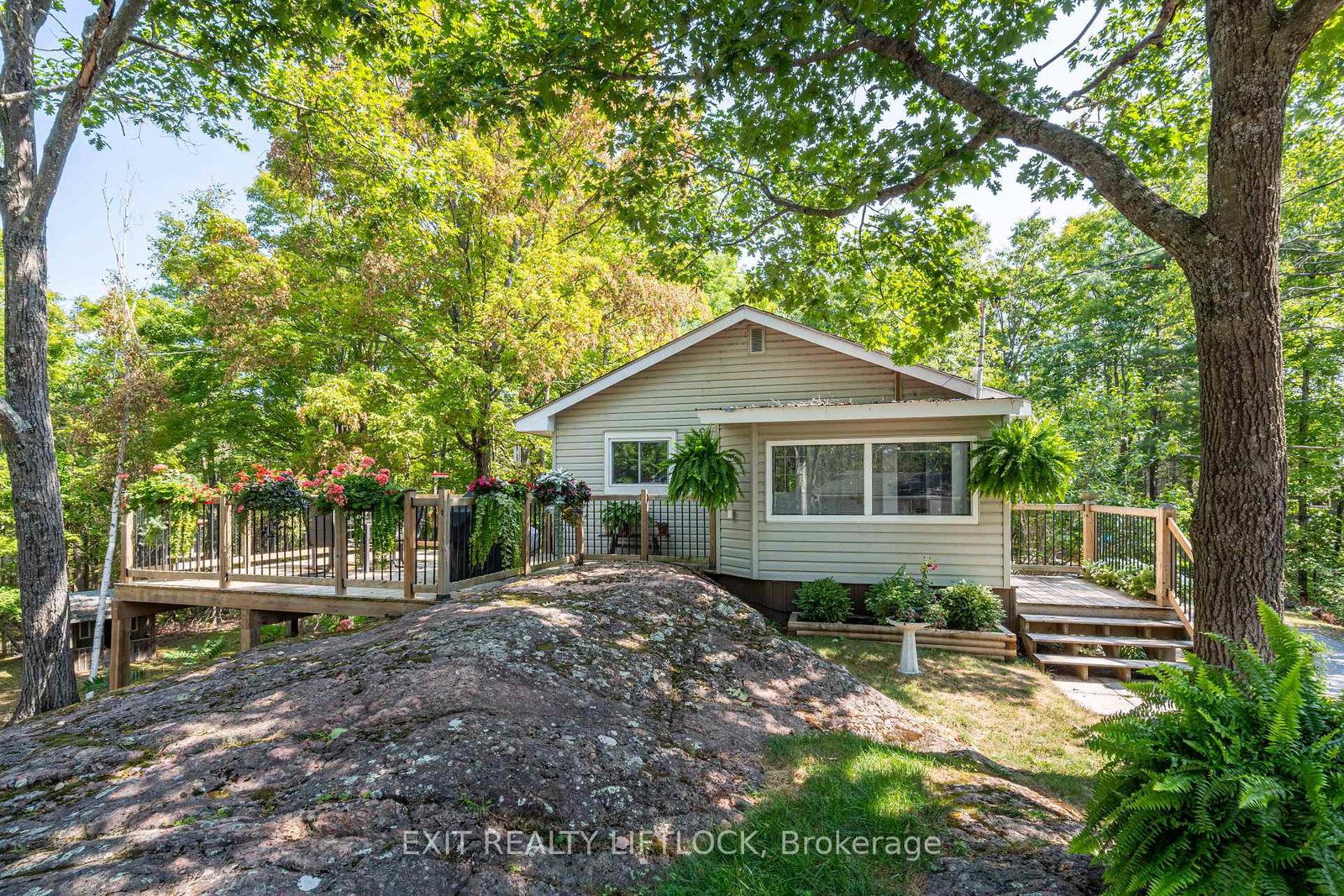 41-fire-route-37-north-kawartha-ontario-x12349901