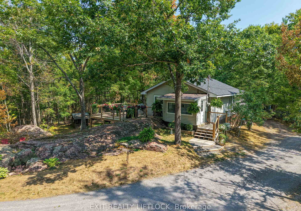 41-fire-route-37-north-kawartha-ontario-x12349901